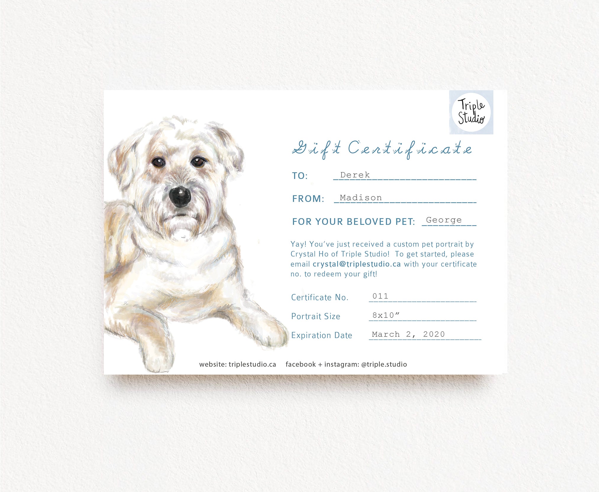 Pet Portrait Gift Certificate, Last Minute Gift, Printable sold Gift Voucher, Custom Memorial Pet Lover Gift Keepsake, Cat Dog Lover Gift